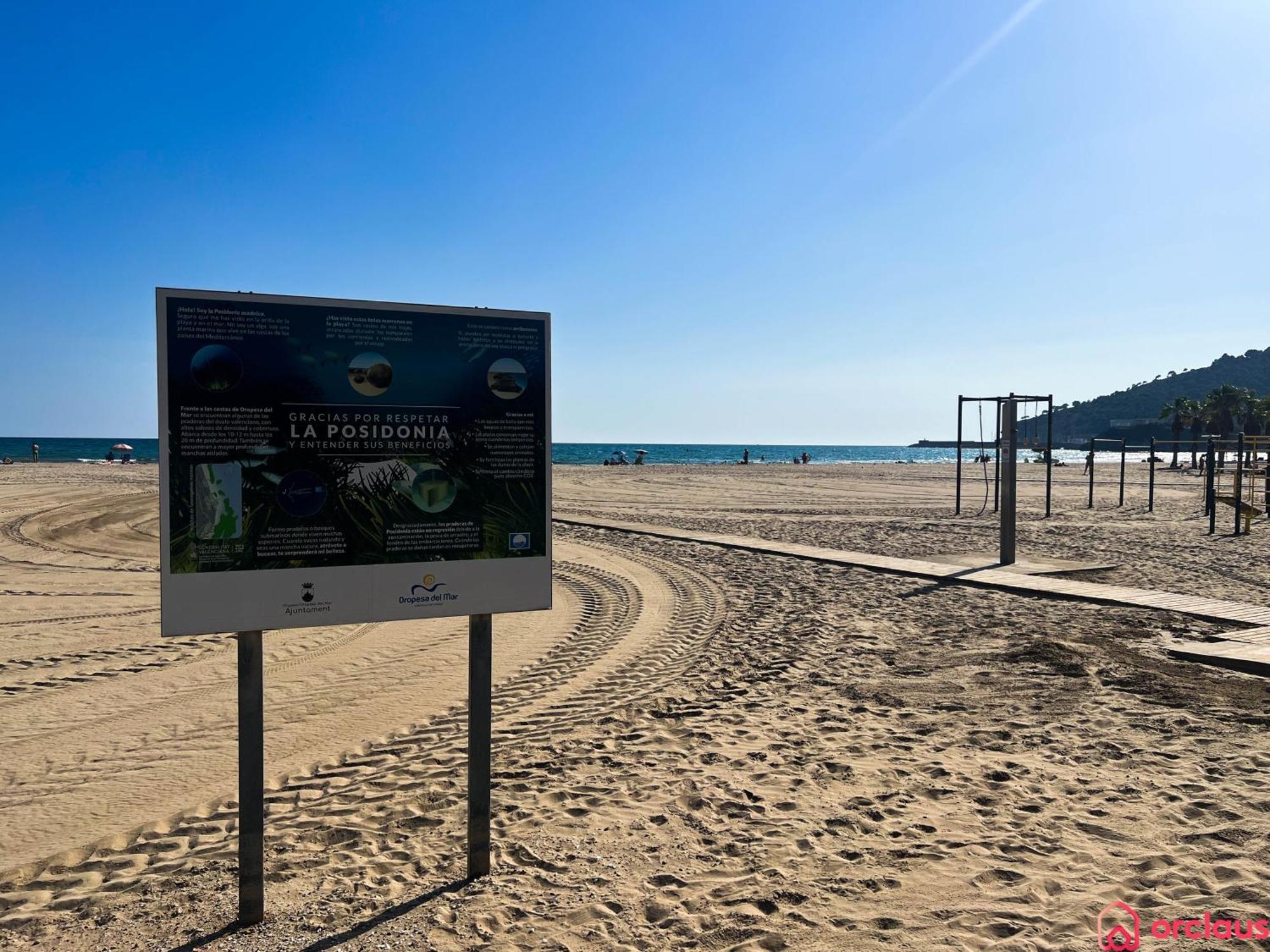 El Paraiso En Playa Concha Oropesa del Mar Ngoại thất bức ảnh